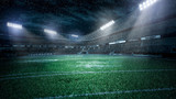Fototapeta Sport - empty soccer stadium in light rays at night 3d illustration