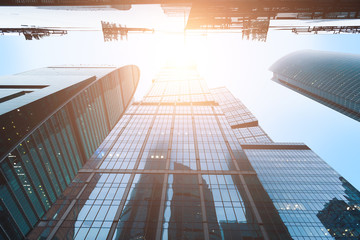 Poster - Modern skyscrapers from low angle view