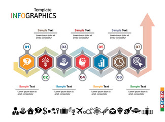 Wall Mural - infographics business template elements