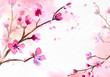 Cherry blossom on pink watercolor background.