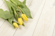 Tulipanes de color amarillo sobre fondo de madera blanca