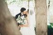 © olegparylyak - Beautiful romantic wedding couple of newlyweds hugging in green park