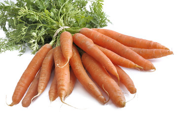 close on bunch of fresh carrots isolated on white background 