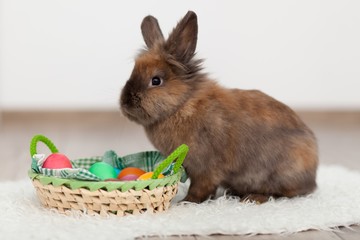 Wall Mural - Rabbit and Easter eggs