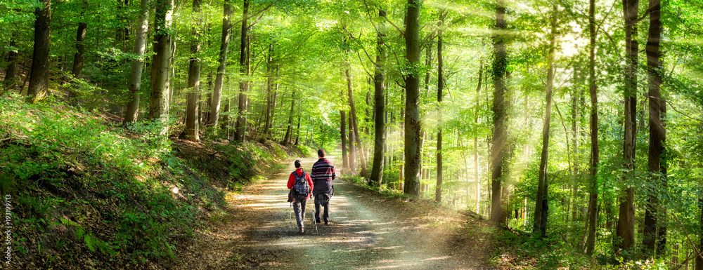 Aktivurlaub im Frühling bei einer Wanderung im Wald - obrazy, fototapety, plakaty 