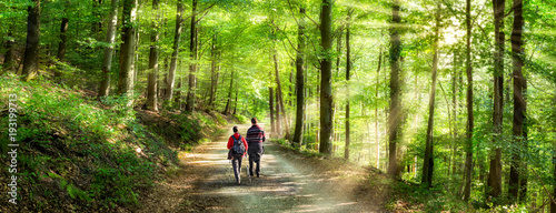 Cuadros en Lienzo Aktivurlaub im Frühling bei einer Wanderung im Wald