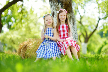 Wall Mural - Two little sisters sitting on a haystack in apple tree garden on warm and sunny summer day