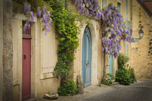 Old Wooden French Doors With Climbing Wisteria On The Wall