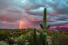 A Winter Storm Begins To Clear At Sunset And A Rainbow Arcs Over The Sonoran Desert Near Tucson, Arizona.