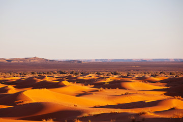 Wall Mural - Sand desert