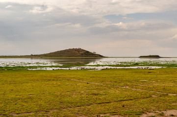 Wall Mural - View of a pond and a hill in the savannah of Amboseli Park in Kenya