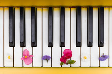 Top View On Yellow Piano. Closeup Of Piano Keys With Nice Bright Flowers. Music Concept