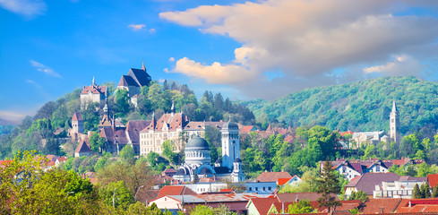 Wall Mural - Cityscape of Sighisoara, panoramic view of historic buildings and citadel architecture of Transylvania