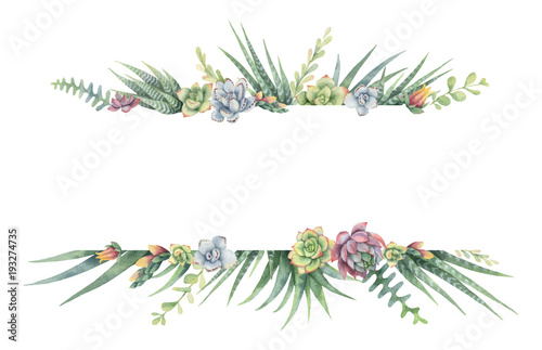 Cuadros en Lienzo Watercolor vector banner of cacti and succulent plants isolated on white background