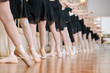 © yuriy - Little ballerinas doing exercises ballet class.