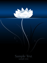 Wall Mural - lotus flower or water lily on water surface, underwater perspective stylized vector