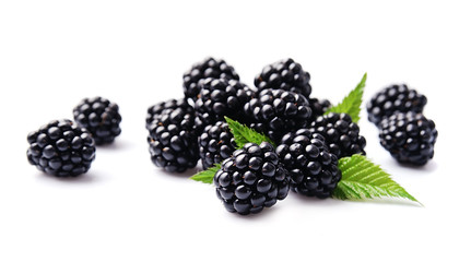 Sticker - Sweet blackberries .