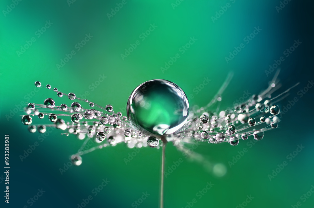 Beautiful water drops on a dandelion seed macro in nature. Beautiful blurred green and blue background. Dew drops on dandelion with free space. Bright colorful dreamy artistic image. - obrazy, fototapety, plakaty 