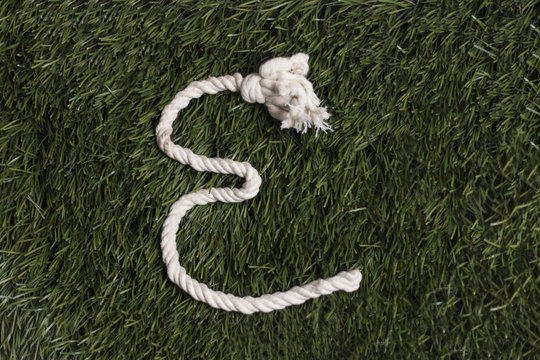 Rope alphabet on grass. Letter E
