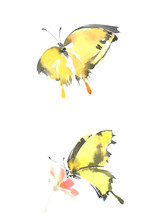 A Graceful Yellow Butterfly Sits On A Flower. Yellow-black Butterfly In Flight. Watercolor Drawing Butterfly.