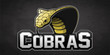 Modern professional cobra logo for a sport team