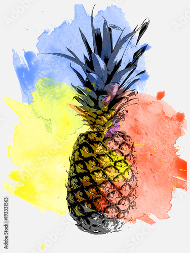 Naklejka na szybę Dojrzały ananas na akwarelowym tle