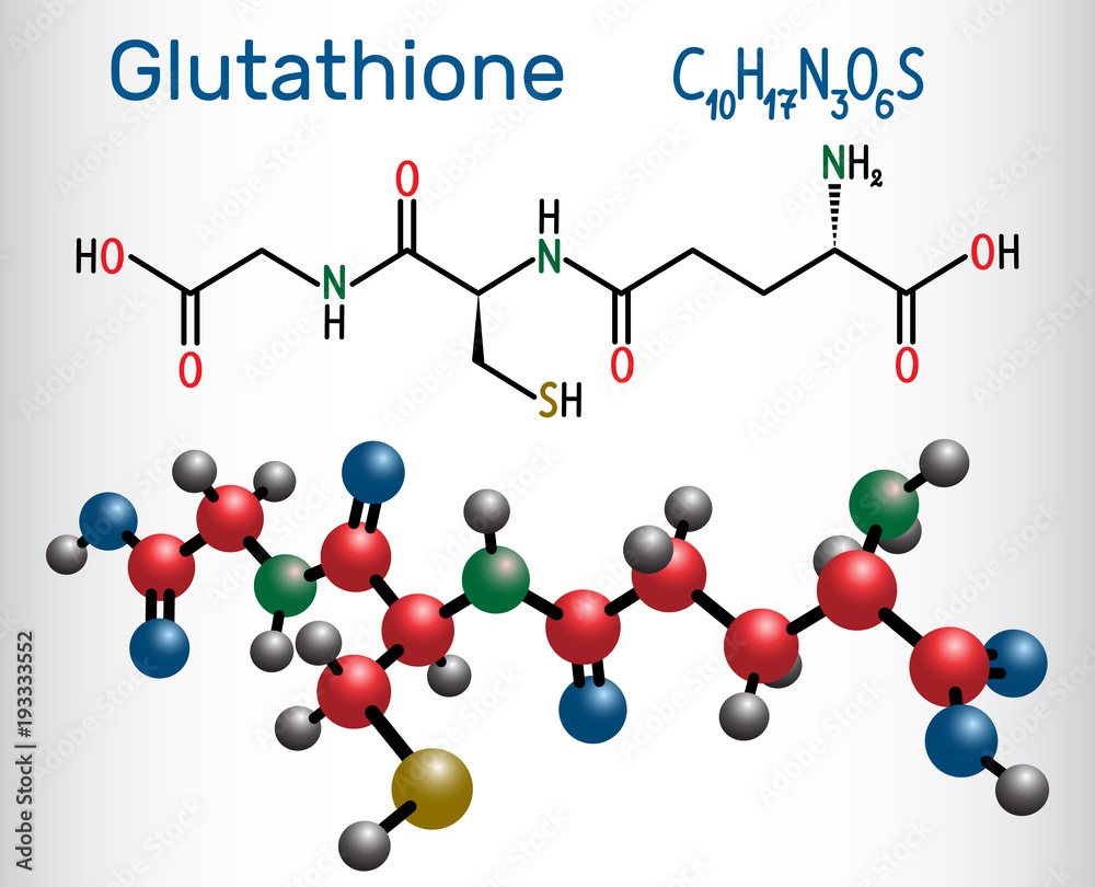 Glutathione (GSH) molecule, is an important antioxidant in plants, animals  and some bacteria. Structural chemical formula and molecule model Stock  Vector | Adobe Stock