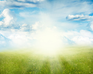 Canvas Print - Spring background. Grass and sky