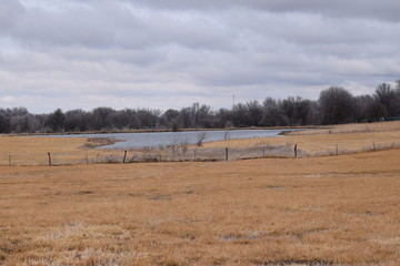 Canvas Print - Winter Lake