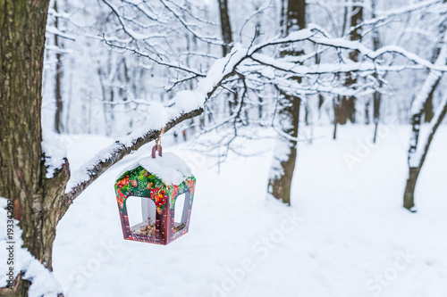 Bird Feeders A Colorful Homemade Bird Feeder On The Tree Winter