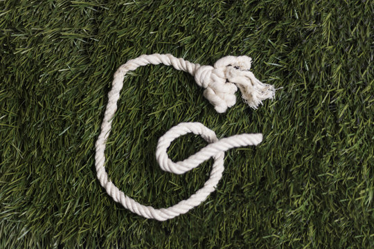 Rope alphabet on grass. Letter G