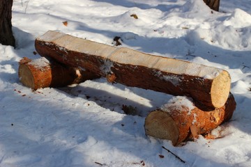 Wall Mural - A bench under the snow in the forest