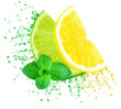 lemon and lime splash with juice and mint isolated on white