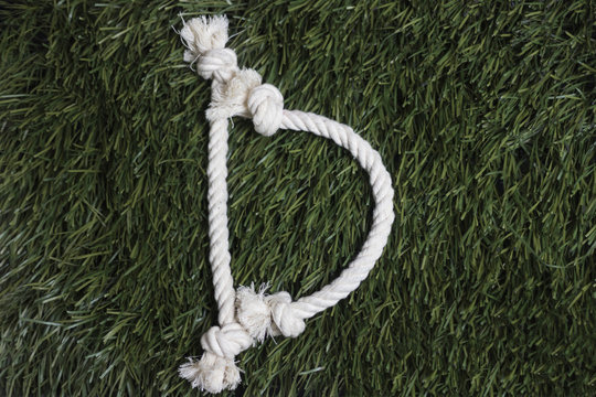 Rope alphabet on grass. Letter D