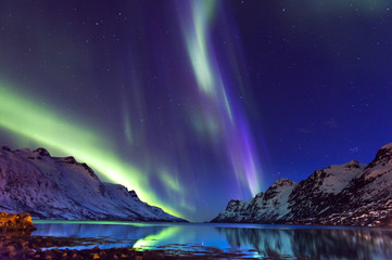 the polar lights in norway . ersfjord. tromso