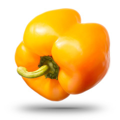 Canvas Print - Single sweet yellow bell pepper isolated on white background with clipping path and shiny reflections