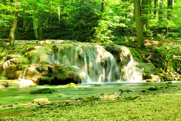 Canvas Print - Mountain stream among the mossy stones