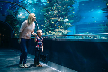 Wall Mural - Mother and son watching sea life in oceanarium