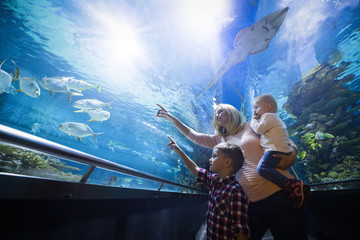 Wall Mural - Happy family looking at fish tank at the aquarium