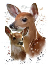Wild Life: Sika Deer Watercolor Painting