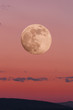 red sky during sunset with a big moon in the full moon phase and the silhouette of a small plane. image of nature without people. image of the moon with tinting in red.