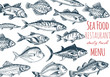 Vector illustration sketch - seafood. Card Menu restaurant. vintage design template, banner