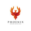 luxury phoenix logo concept, best phoenix bird logo design, phoenix vector logo