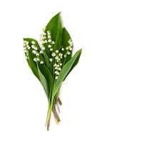 Flower With Leaves Lily Of The Valley (Convallaria Majalis), Other Names: May Bells, May-lily, Our Lady's Tears, And Mary's Tears On A White Background With Space For Text. Top View, Flat Lay.