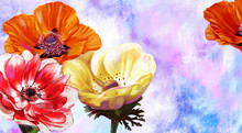 Paintings Flowers Anemones On A Colored Background
