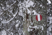 Sign, Symbol, Concept: Red White Vertical Striped Circle, Indicate Direction To Follow, Paths, Walk, Pine Forest Covered With Fresh Snow, Cold, Winter, Mountain, Alps, Vigezzo Valley, Piedmont, Italy