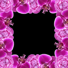 Fotomurales - Floral frame of orchids and roses 