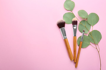 Wall Mural - Different brushes of professional makeup artist and twig on color background