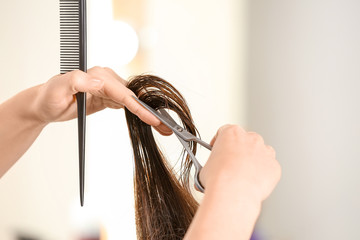 Wall Mural - Professional hairdresser cutting client's hair in beauty salon