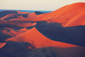 Wall Mural - Sand desert